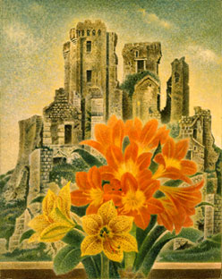 花と廃墟