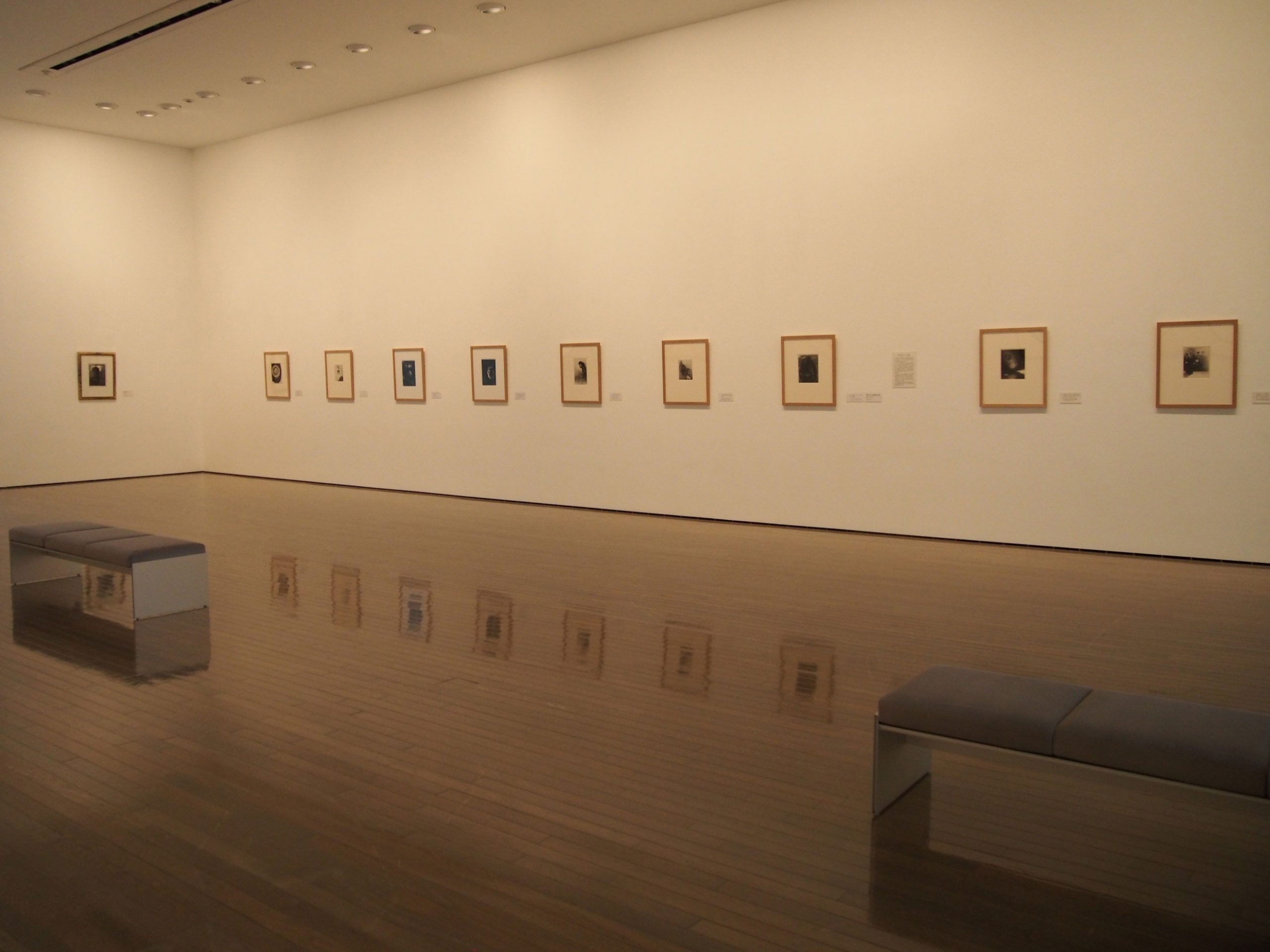 展示室4会場風景-scaled.jpg